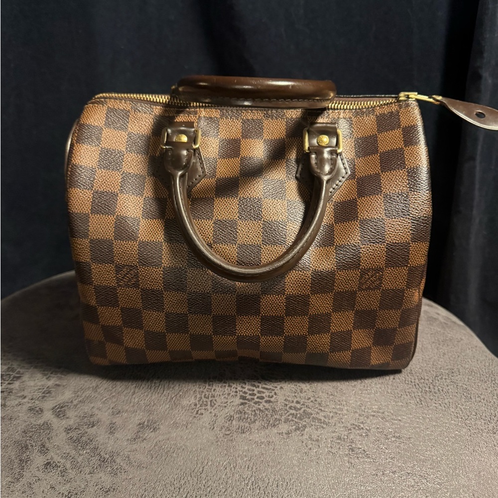 Louis Vuitton Brown Damier Ebene Canvas Mini Speedy Tote